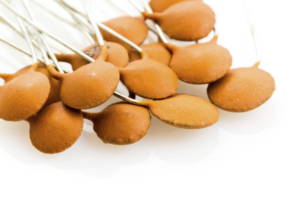 ceramic disc capacitors
